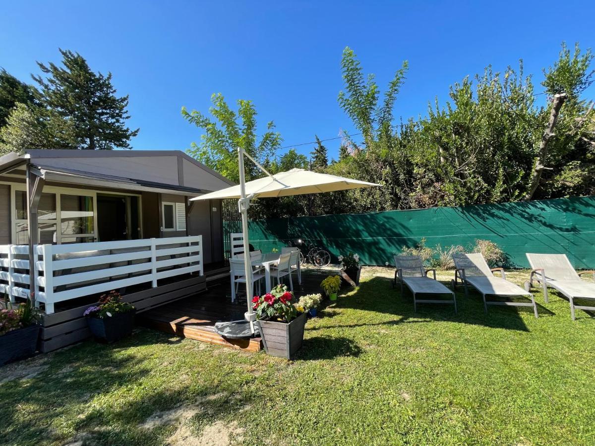 Avignon, Joli Chalet En Campagne Tres Proche De La Ville 외부 사진